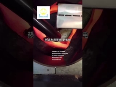 Roastador de semillas de qingjiang para máquinas de prensa de aceite en caliente