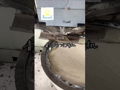 Presión de aceite de semilla reverberante