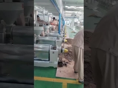 máquina de prensa de aceite de chile