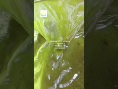 Presión de aceite de semillas de girasol