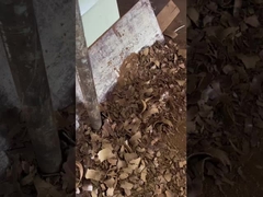 Aceite de semillas de uva prensado en frío