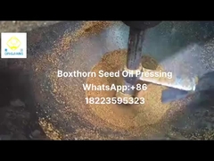 extractor de aceite prensado en frío