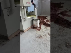 máquina para presionar aceite frío