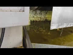 Presión en frío de aceite de cacahuete molino de aceite de coco prensadora