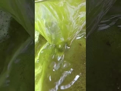 Máquina de extracción de soja de pasta de aceite de prensa en frío