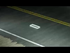 máquina de aceite de almendra dulce prensado en frío